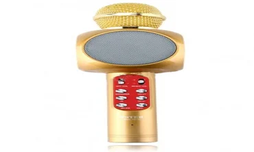 Микрофон-колонка bluetooth WS-1816 Gold