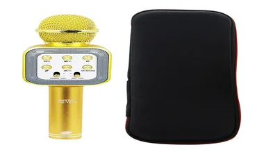Микрофон-колонка bluetooth WS-1818 Gold + Чехол 